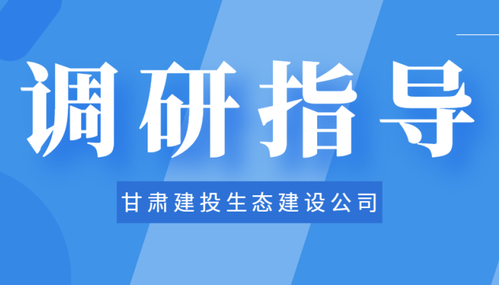 黨委書記、董事長張豐川深入酒泉市肅州區(qū)城市基礎(chǔ)設(shè)施提升項目調(diào)研指導(dǎo)工作